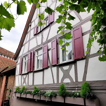 בית הארחה Hofgarten Rosa Ilbesheim bei Landau in der Pfalz