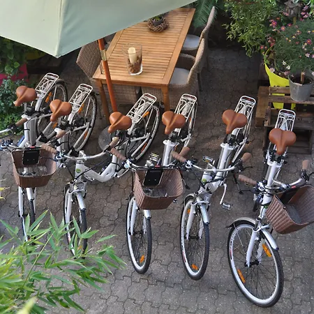 Πανσιόν Hofgarten Rosa