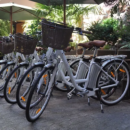 Πανσιόν Hofgarten Rosa