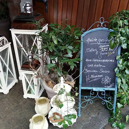 Hofgarten Rosa Ilbesheim bei Landau in der Pfalz