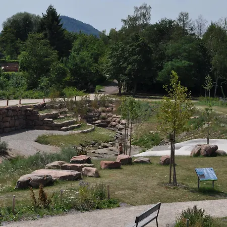 Hofgarten Rosa Ilbesheim bei Landau in der Pfalz