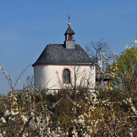 בית הארחה Hofgarten Rosa