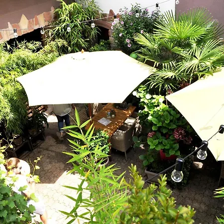 בית הארחה Hofgarten Rosa 3*