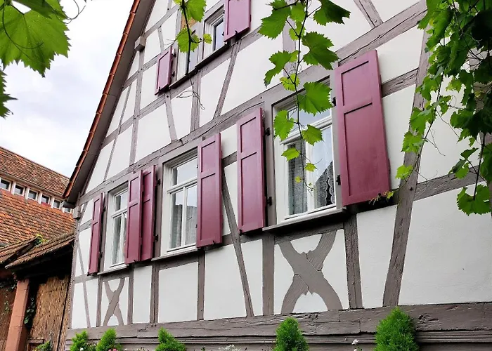 Gasthof Hofgarten Rosa Ilbesheim bei Landau in der Pfalz
