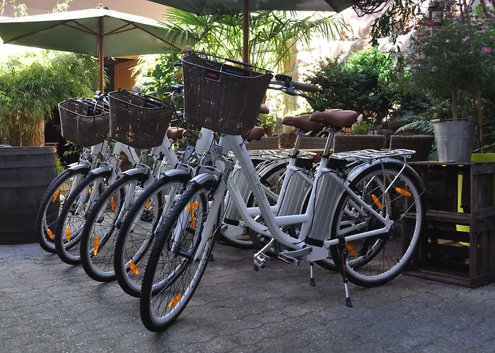 Gasthof Hofgarten Rosa