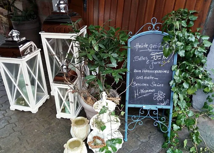 Hofgarten Rosa Ilbesheim bei Landau in der Pfalz