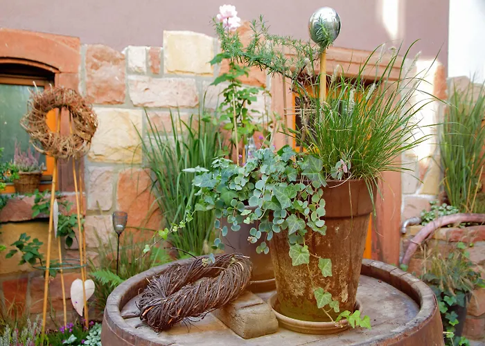 Hofgarten Rosa Ilbesheim bei Landau in der Pfalz