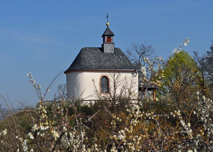 Gasthof Hofgarten Rosa